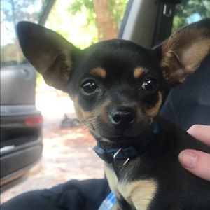 Meet your Posher, Orla